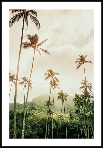 Poster Photographie Palmiers à Hawaï - 50 x 40 cm 1