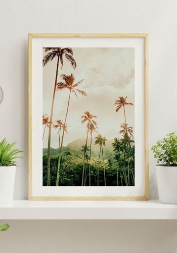 Poster Photographie Palmiers à Hawaï - 50 x 40 cm 5