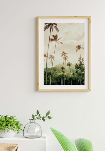 Poster Photographie Palmiers à Hawaï - 50 x 40 cm 6