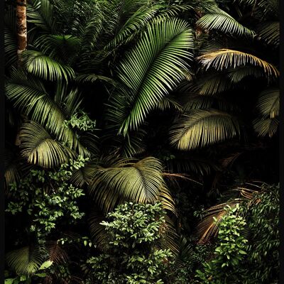 Affiche Dans La Jungle - 21x30cm