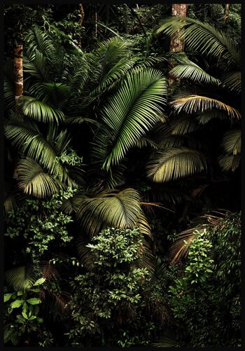 Affiche Dans La Jungle - 21x30cm 1