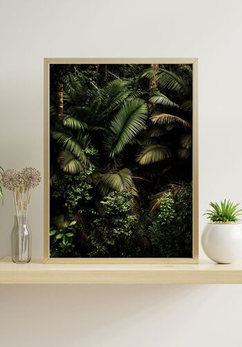 Affiche Dans La Jungle - 21x30cm 4