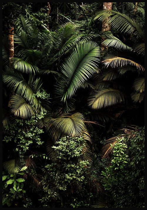 Into The Jungle Poster - 50 x 70 cm