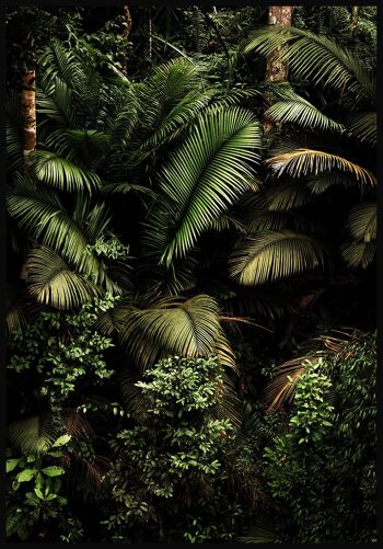 Affiche Dans La Jungle - 50x70cm 1