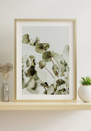 Affiche Photographie Buisson d'Eucalyptus - 21 x 30 cm 3