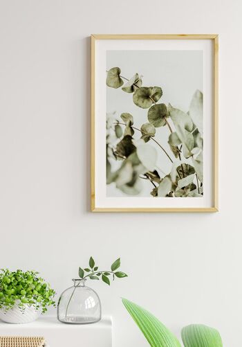 Affiche Photographie Buisson d'Eucalyptus - 21 x 30 cm 6