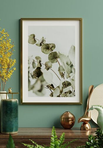 Affiche Photographie Buisson d'Eucalyptus - 40 x 50 cm 2