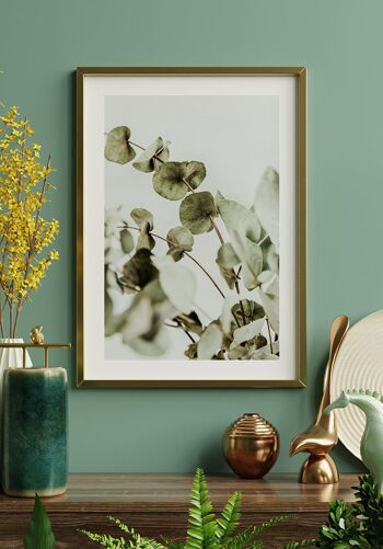 Poster Photographie Buisson d'Eucalyptus - 50 x 70 cm 2