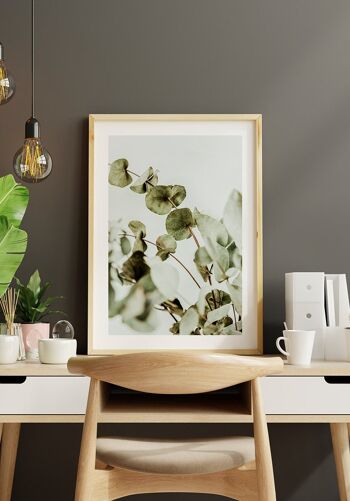 Poster Photographie Buisson d'Eucalyptus - 50 x 70 cm 4