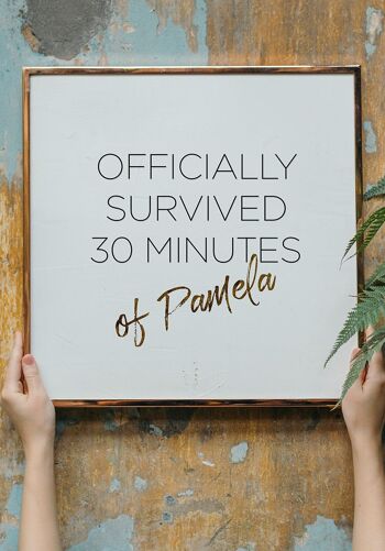 "Officiellement survécu 30 minutes" Affiche Pamela Reif - 21 x 30 cm 5
