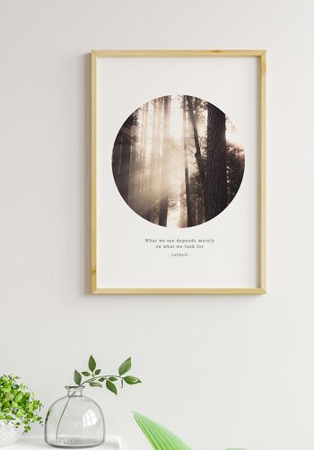 Affiche photographique Rayons de soleil dans la forêt - 21 x 30 cm 2