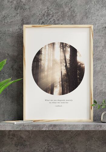 Affiche photographique Rayons de soleil dans la forêt - 21 x 30 cm 3