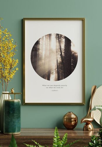 Affiche photographique Rayons de soleil dans la forêt - 21 x 30 cm 5