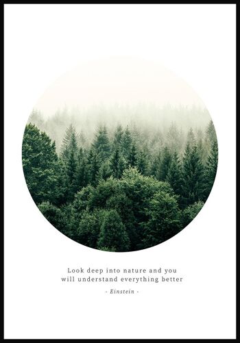 Poster Photographie Forêt Mystique - 30 x 40 cm 1