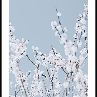 Affiche photographie florale avec fleurs blanches - 21 x 30 cm