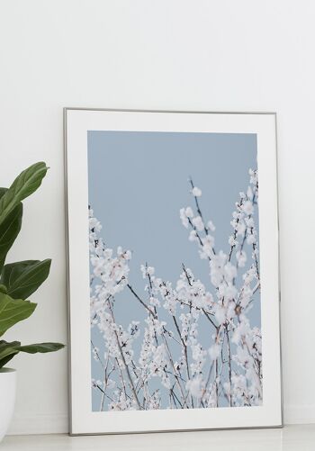 Affiche photographie florale avec fleurs blanches - 21 x 30 cm 2