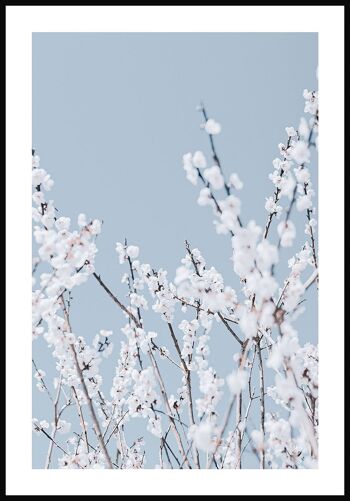 Affiche photographie florale avec fleurs blanches - 30 x 40 cm 1