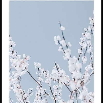 Florales Fotografie-Poster mit weißen Blüten - 40 x 50 cm