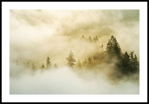 Fotografie Poster Wald im Nebel - 30 x 21 cm