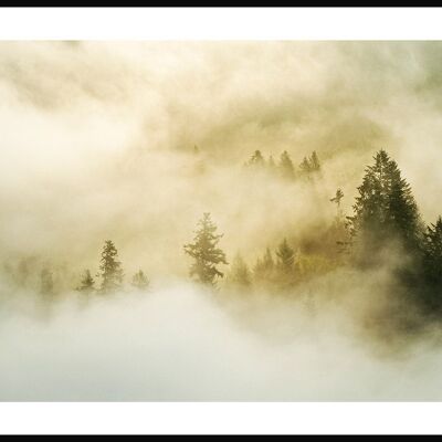Poster fotografico Foresta nella nebbia - 30 x 21 cm