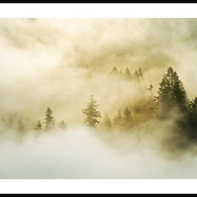 Photography Poster Forest in the Fog - 50 x 40 cm