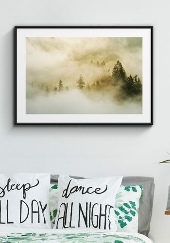 Affiche Photographie Forêt dans le Brouillard - 70 x 50 cm 3