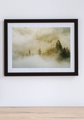 Affiche Photographie Forêt dans le Brouillard - 70 x 50 cm 5