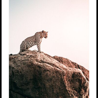 Leopard Sitting on Rocks Poster - 21 x 30 cm