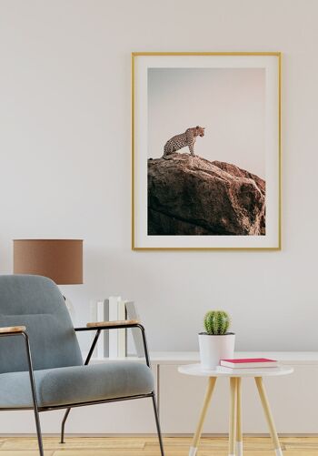 Affiche Léopard assis sur des rochers - 21 x 30 cm 2