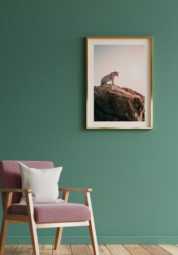 Affiche Léopard assis sur des rochers - 21 x 30 cm 6