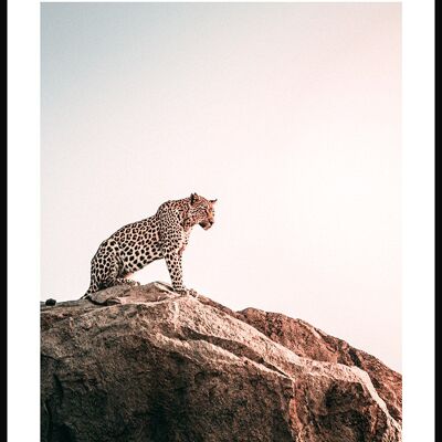 Leopard sitzt auf Felsen Poster - 40 x 50 cm
