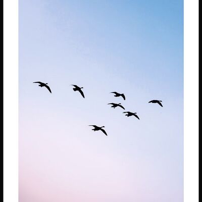 Affiche Oiseaux au coucher du soleil - 21 x 30 cm