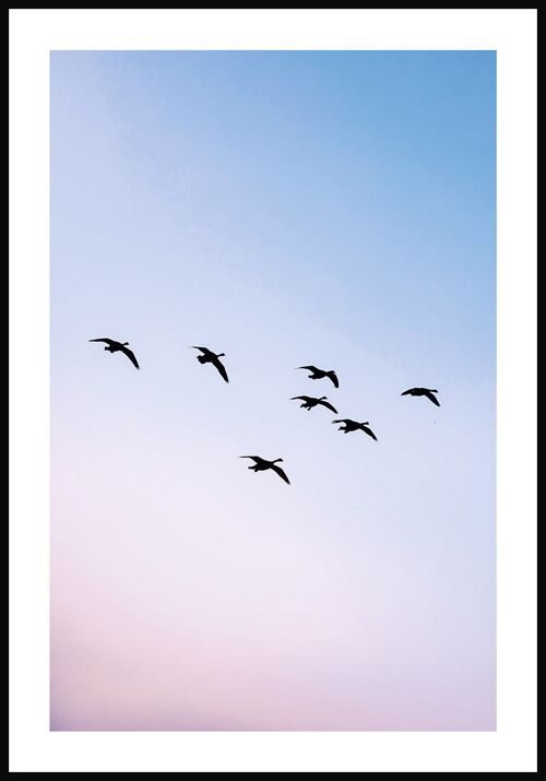 Vögel im Sonnenuntergang Poster - 30 x 40 cm