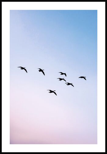 Affiche Oiseaux au coucher du soleil - 40 x 50 cm 1