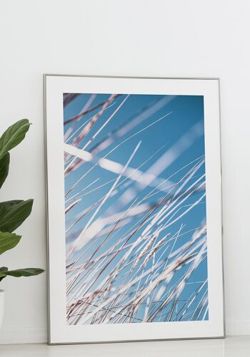 Affiche Herbes et Ciel Bleu - 21 x 30 cm 5
