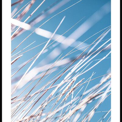 Grasses and Blue Sky Poster - 30 x 40 cm