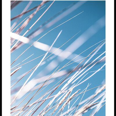 Gräser und blauer Himmel Poster - 30 x 40 cm