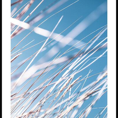 Affiche Herbes et Ciel Bleu - 40 x 50 cm