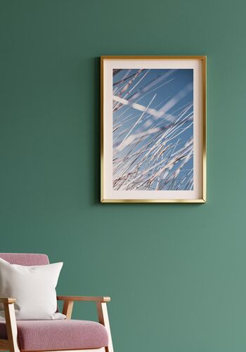 Affiche Herbes et Ciel Bleu - 40 x 50 cm 6
