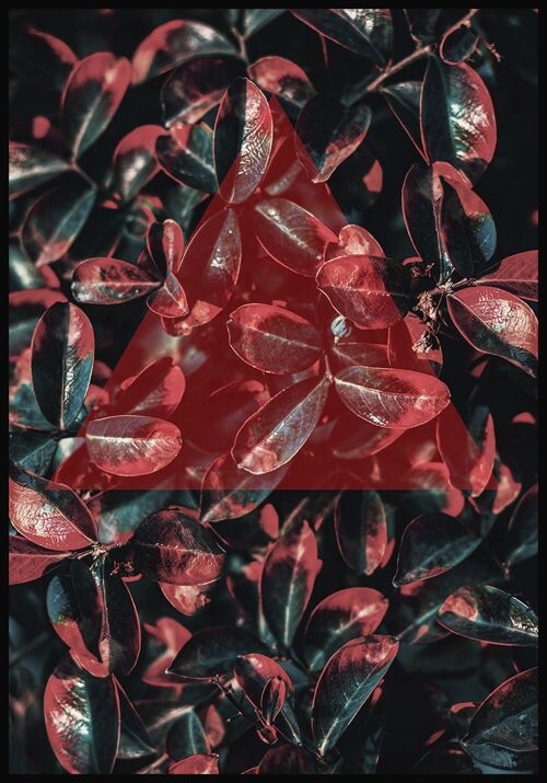 Kunstvolle Fotografie von tropischen Blättern mit rotem Dreieck - 21 x 30 cm