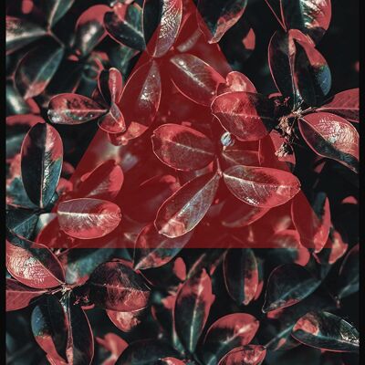 Photographie artistique de feuilles tropicales avec triangle rouge - 21 x 30 cm