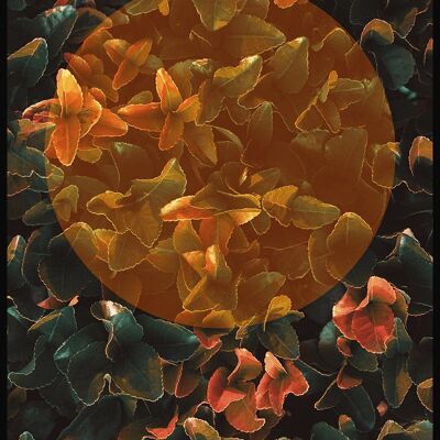 Photographie artistique de feuilles tropicales avec cercle or-orange - 21 x 30 cm