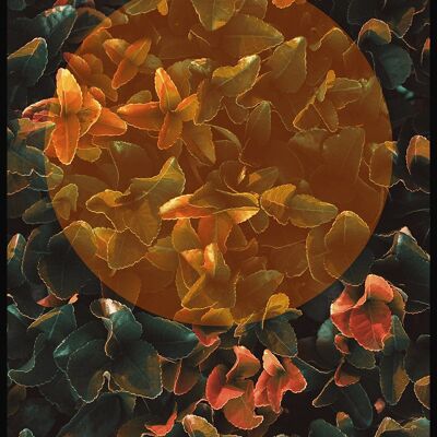 Kunstvolle Fotografie von tropischen Blättern mit gold-orangenem Kreis - 30 x 40 cm