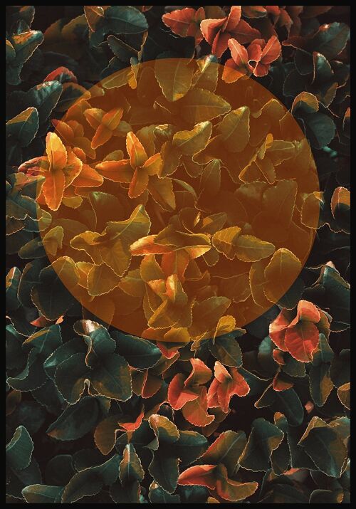 Kunstvolle Fotografie von tropischen Blättern mit gold-orangenem Kreis - 50 x 70 cm