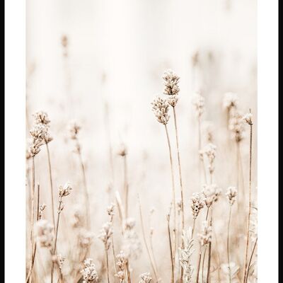 Ferns in Bloom Poster - 21 x 30 cm
