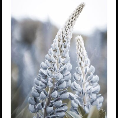 Affiche photographie florale avec fleur bleue - 21 x 30 cm