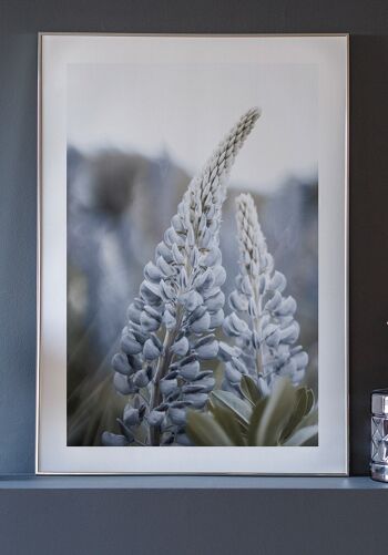 Affiche photographie florale avec fleur bleue - 40 x 50 cm 6
