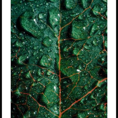Photography poster green leaf with pots - 21 x 30 cm