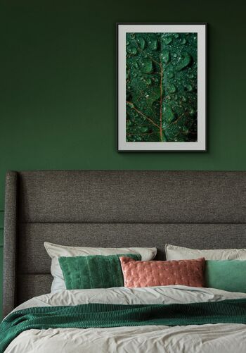 Affiche photographie feuille verte avec pots - 21 x 30 cm 4