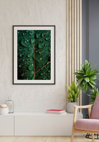 Affiche photographie feuille verte avec pots - 30 x 40 cm 5